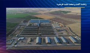 تحلیل بنیادی «زدشت»