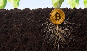آپدیت جدید «TAPROOT» بیت کوین