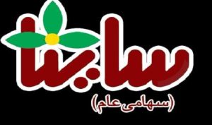مروری بر عملکرد و سودآوری «ساینا»