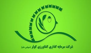 نگاهی به NAV سهام «زکوثر» و نحوه قیمت گذاری سهم