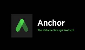 معرفی پروتکل وام دهی Anchor