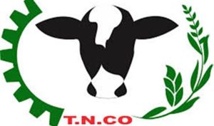 نمودارها از «تلیسه» چه می گویند؟!