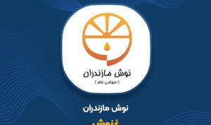 دلیل صف خرید «غنوش» از زبان نمودارها...