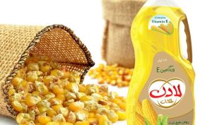 دلیل تکنیکالی صف خرید «غبشهر» چیست؟!