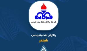 «شبندر» بخریم؟!