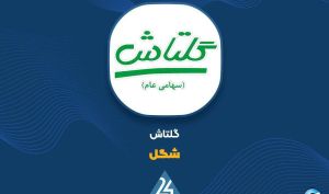 «شگل» از دریچه تکنیکال...