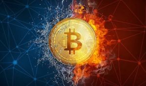 دامیننس بیت کوین چیست و چرا اهمیت دارد؟