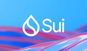 ارز دیجیتال SUI چیست؟ معرفی کامل شبکه Sui و توکن Sui