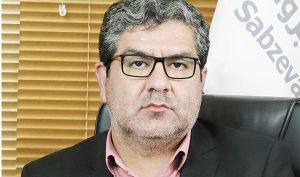 امیدواری مدیرعامل نیرو سرمایه به آینده صنعت برق