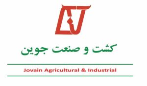 نشانه های صعودی «جوین» در کوتاه مدت و میان مدت