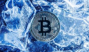 این زمستان کریپتو است یا عصر یخبندان!؟