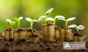 سهم ۵۱ درصدی «زشریف» در سبد سرمایه‌گذاری «زکوثر»
