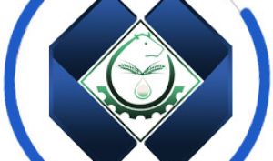 «تادیکو» در نیمه نخست زیان ده بود