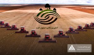 فروش دو ماهه «زکشت» بدون تغییر ماند