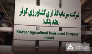 ارزش پرتفوی «زکوثر» از 19 همت گذشت