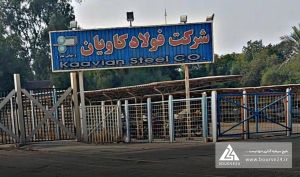 «فوکا» در تیر به درآمد 1396 میلیارد تومانی رسید