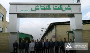 توضیحات «شگل» در خصوص حذف ارز ترجیحی