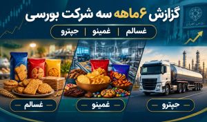 بررسی گزارش عملکرد ۶ ماهه «غسالم»، «غمینو» و «حپترو»؛ از جهش ۱۳۴ درصدی فروش «سالمین» تا درآمدهای پایدار «مینو شرق»