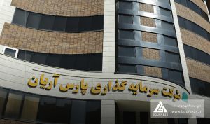 موافقت سازمان بورس با افزایش سرمایه سرمایه‌گذاری پارس آریان