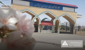 نزول سود «نمرینو» در سه ماهه نخست
