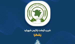 «زشگزا» در 9 ماهه چه کرد؟