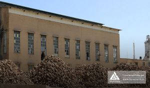 قند تربت حیدریه از فروش ۵۰ کیلوگرم شکر به شرکت صنایع غذایی رضوی خبر داد