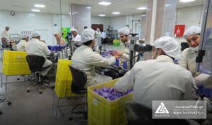 آغاز روند نزولی فروش «کیمیاتک» در مهر