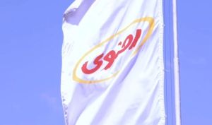 جهش ۱۷۴ درصدی درآمدهای «لبن»؛ ثبت کارنامه عالی فروش صنایع دامپروری و لبنی رضوی تا پایان مهر