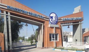 فروش «سخوز» بررسی شد