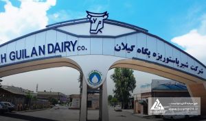 افزایش نرخ فروش در «غگیلا»