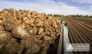 شفاف‌سازی «قنقش» درباره تغییرات نرخ فروش محصولات و تأثیرات آن