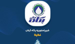 افزایش سرمایه سنگین «غگیلا» از تجدید ارزیابی تصویب شد