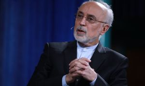 صالحی: خروج از NPT در حیطه اختیارات رهبری است، نه مجلس