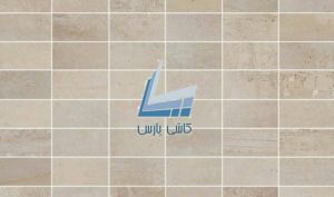 تمدید اعطای فرصت به «کپارس»