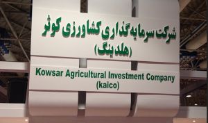 «زکوثر»خبر از  لغو پذیرش شرکت مرغ اجداد زربال داد