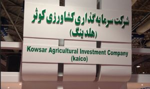 «زکوثر»خبر از ادغام شرکت های سپیدان و ماندگار در شرکت اشراق داد