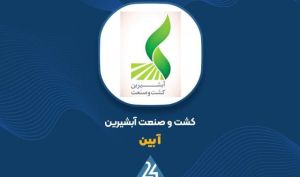 جهش ۴۰۰ درصدی درآمد «آبین» در سه‌ماهه نخست ۱۴۰۵