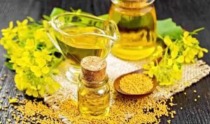 جهش ۱۹۱ درصدی درآمدهای «غدانه»؛ رمزگشایی از تحولات مالی پگاه دانه‌های روغنی خراسان