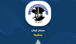 عملکرد فروش این سیمانی را اینجا ببینید