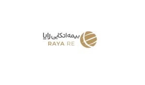 سهم «رایا» از فروش حق بیمه های دی ماه چقدر بود؟