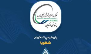 رمزگشایی از جهش سودآوری «شگویا»؛ پیشی گرفتن رشد فروش از بهای تمام‌شده