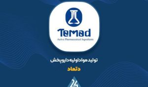 بررسی عملکرد ۶ ماهه «دتماد»؛ تحقق درآمد تجمیعی ۴,۱۰۹ میلیارد تومانی
