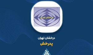 دلیل رشد سود عملیاتی »پدرخش» چه بود؟