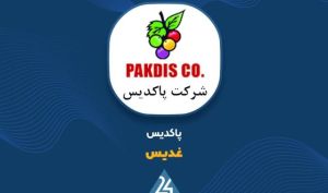 «غدیس» در مسیر رشد؛ افزایش ۵۳ درصدی درآمد و رشد ۴۶ درصدی سود خالص