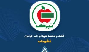 دلیل اصلی رشد سود عملیاتی «غشهداب» چیست؟