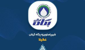 شیر خام گران شد؛ «غگیلا» از افزایش بهای تمام‌شده محصولات خبر داد