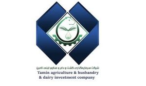 آخرین وضعیت پرتفوی «تادیکو» را اینجا ببینید