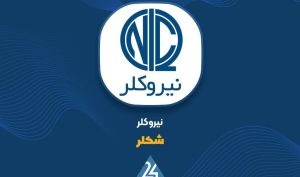 نگاهی به عملکرد 9 ماهه «شکلر»