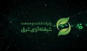 ثبت سود 13,106,500 ریالی به ازای هر سهم «شیفته» در یکساله