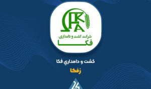 جهش 74 درصدی ارزش تولیدات کشاورزی؛ پشتوانه دارایی «زفکا» تقویت شد